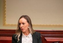 Subdivision pleas blocked by Government