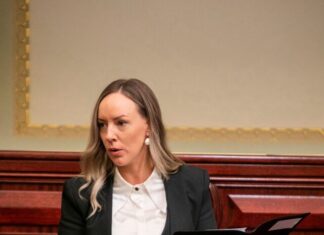 Subdivision pleas blocked by Government