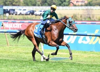 Moody thinks Sheza ripper