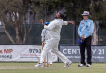 Noble turn tamers against Lions