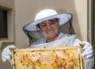 Q&A with beekeeper Alice Lin