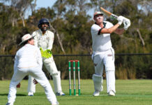 Seagulls still the top dogs