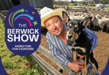 Experience the magic of working dogs