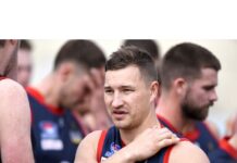 Martin calls time on playing career and goes back to Bulls