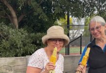 Volunteers transform historic grounds