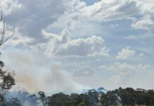 Firefighter save Cardinia minutes from disaster