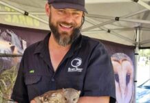 Learn about Australia’s misunderstood creatures at the Berwick Show