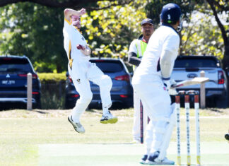 Six-pack of star performers