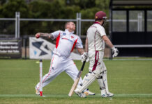 Panthers at a crossroads