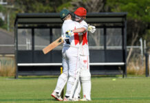 Nervous Panthers stay up