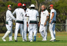 Seagulls secure minor premiership with routing of Lions