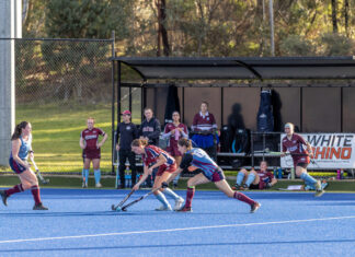 Cannons set to launch into season 2026