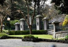 Call to defer Manuka Road plans