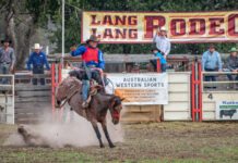 A rodeo with no beer