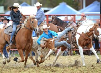 Lang Lang Rodeo drops alcohol in bid to be more family-friendly
