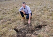 Q&A with Paul Hamilton, Berwick farmer and scientist