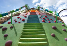 Labor MP calls to reinstate critical growth area fund