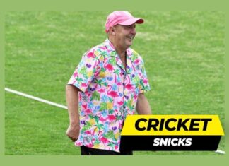 Breakfast a piece of toast