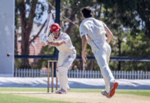 Swans pass first pressure test with rematch on the cards