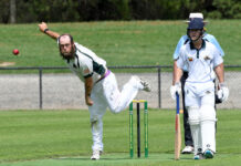 Titans tune for premiership push with huge win over Hallora