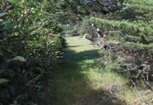 Controversial $32.5 million aged care divides town