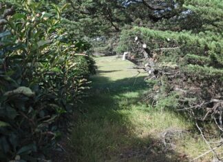 Controversial $32.5 million aged care divides town