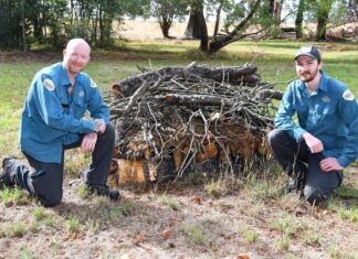 On the Land: Endangered bandicoots find refuge at future Clyde park