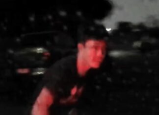 Attempted carjacking in Hallam, police seek offenders