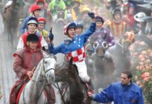 About Town: Makybe Diva sits next to Phar Lap and school’s new arts centre set for construction