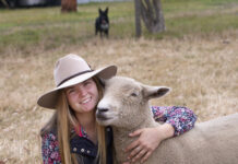 Pakenham Show returns for 115th year