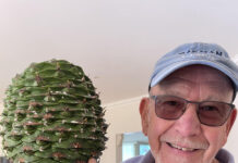 About Town: Huge cones and Teddy returns in Berwick