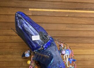 About Town: Star News at Pakenham Show and Labor candidate goes online